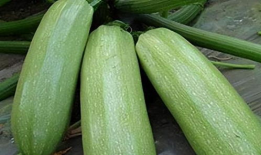 tai9吃瓜爆料,tai9吃瓜爆料，带你直击幕后真相