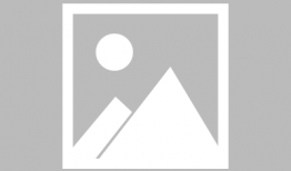 动漫免费下载,免费下载，畅享无限精彩